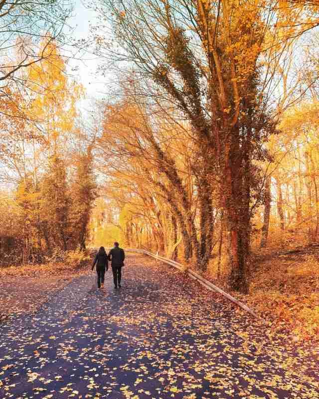 Pannifer Life About Temp Pic